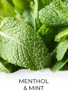 Menthol & Mint